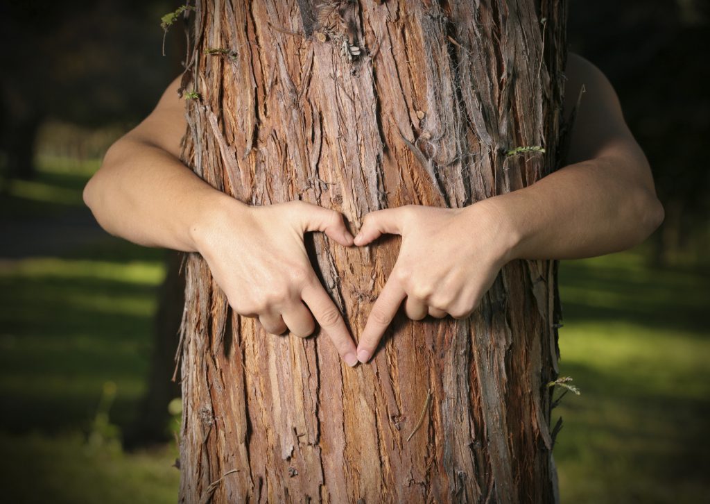 Arms hugging tree with hands forming heart